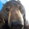 Profilbild von Dindas