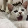 ひなひなこ's profile picture