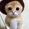 lovelysmile's profile picture