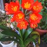 Фото профиля テル