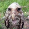 JosenildoFogões profil fotoğrafı