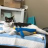 Фото профиля キャッシー