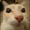 Elendil_Soul's profile picture