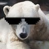 Profilbild von WhiteBear