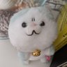あおねこ🐾金平さん玉川さんロス's profile picture
