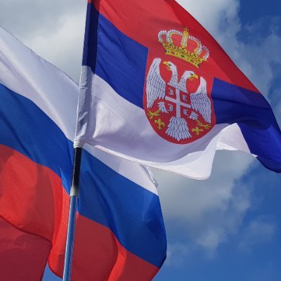 Anastas10872080's profile picture