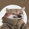 Mark 🐽🫧 🐖🎵 profil fotoğrafı