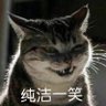 qzsl93's profile picture