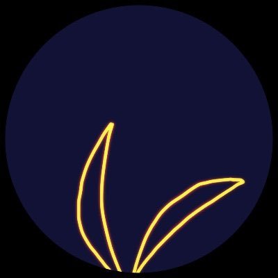 pkenshiq's profile picture