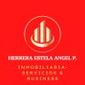 angel herrera estela 的头像