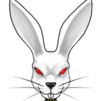 RabbitskinV's profile picture