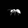 Simeus Sonley's profile picture