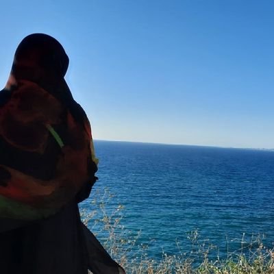 ZElNABSAT's profile picture