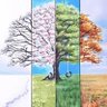 Simabdi profil fotoğrafı