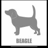 beagle to-shi 的头像