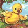 Chicken Little 的头像