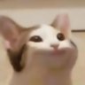 daxt's profile picture