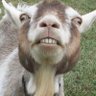 Tony Friend's profile picture