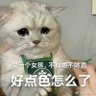 mo ji's profile picture