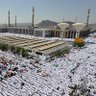 Фото профиля abu ghala
