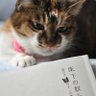 🇯🇵一世🐯🐱🗣️🗣️'s profile picture