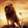 Aslan Kral's profile picture