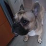 Ele profil fotoğrafı