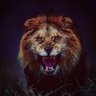 Said ALSiyabi's profile picture