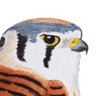 Фото профиля Kestrel
