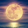 Profilbild von EclairLune