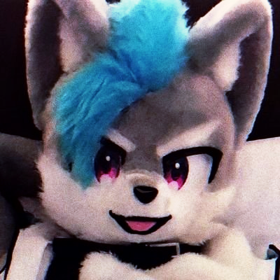 haludo_hardcore's profile picture