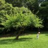 Фото профиля おかかおむすび