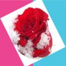༺༻'s profile picture
