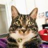 Naserian's profile picture