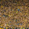 Profilbild von bostero