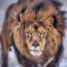 Polo's profile picture