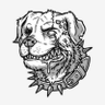 Braniac noori cracker's profile picture