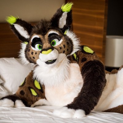 Sochi's profile picture