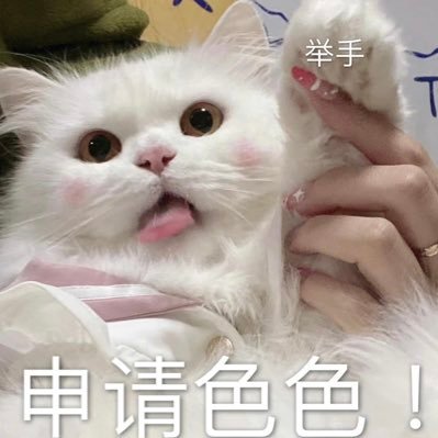 peach52078's profile picture
