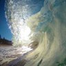 SaltyD🌊🤙🏽 的头像