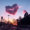 Profilbild von 🍊🍊🍊