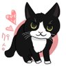 tabe3🐈's profile picture