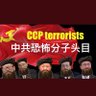 Take down ccp's profile picture
