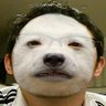 来たぞ 🫏ひのえうま 2026's profile picture