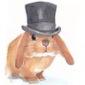 悬崖沏茶的孤魂's profile picture