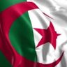 Salim🇵🇸 的头像