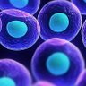every_cell_of_your_body 的头像