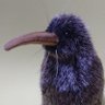 のだま's profile picture