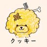 まーこ profil fotoğrafı
