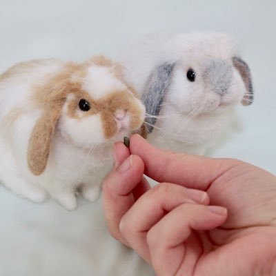 SEVEN's Bunny @nana ハンドメイドインジャパンフェス1/17(土)のみ出展's profile picture